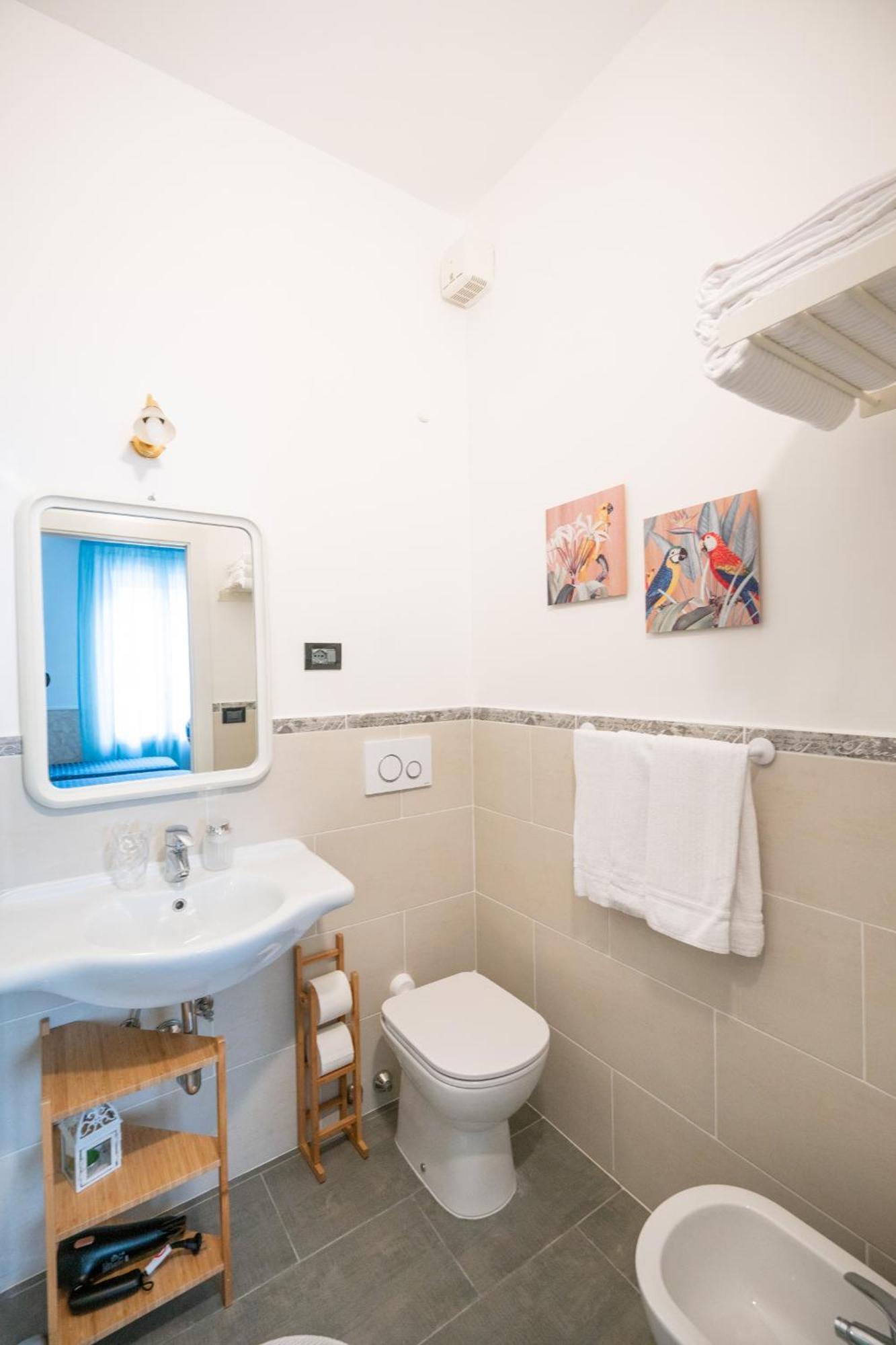 Superior Double or Twin Room