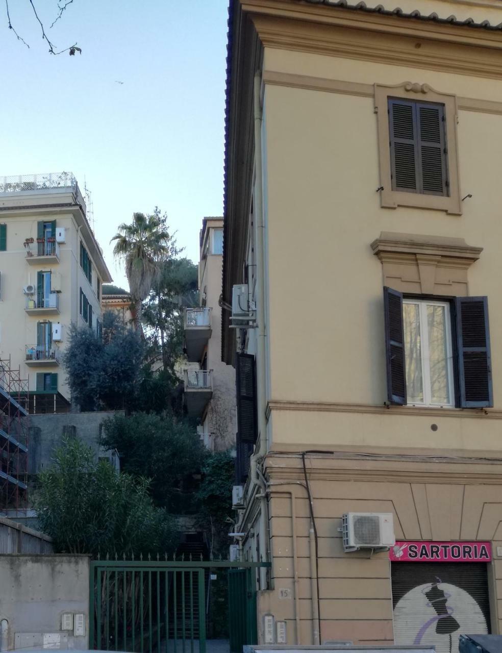 Standard Double Room,781057503:JPEG