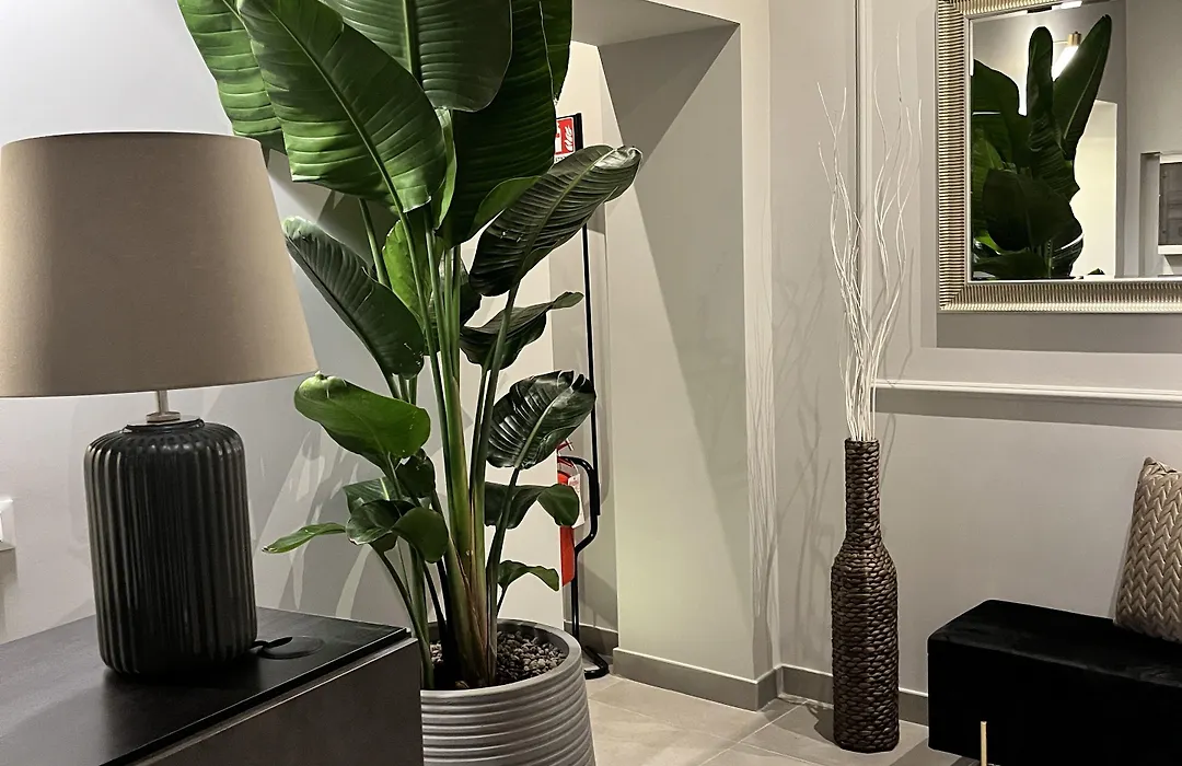 Soha Piazza Di Spagna Boutique-1
