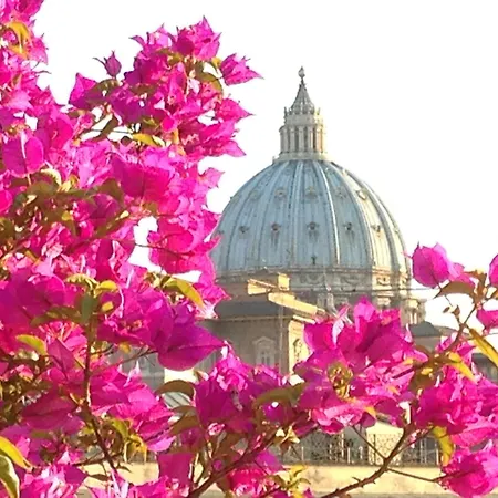 Hotel Dei Consoli Vaticano-2