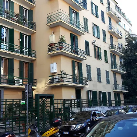 Palma-3