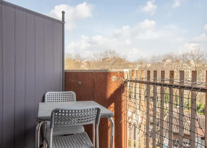 Lion Renting Trastevere Rome